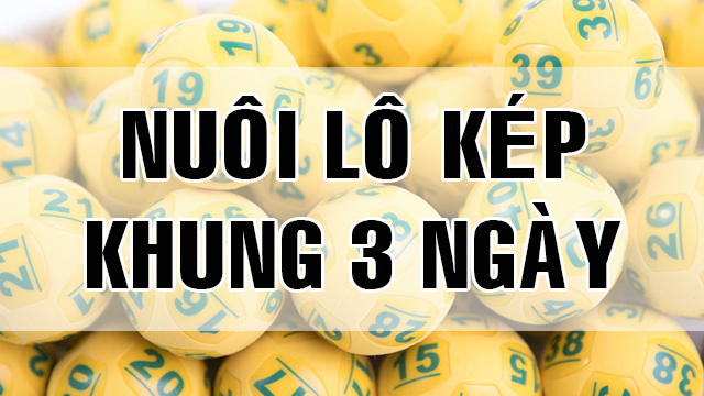 Cách nuôi lô kép khung 3 ngày hiệu quả nhất