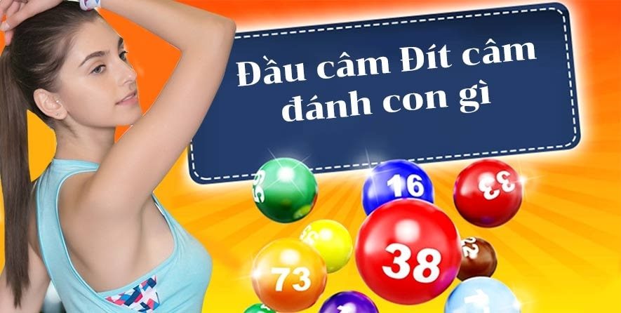 kinh nghiệm đánh lô đầu câm, đuôi câm trúng một cách dễ dàng